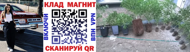 Где найти наркотики Сорочинск KRAKEN ТОР  АМФ  Кокаин  LSD-25  ГАШ  МЕФ  Альфа ПВП  Галлюциногенные грибы  Конопля 