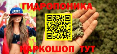 твердый Берёзовский