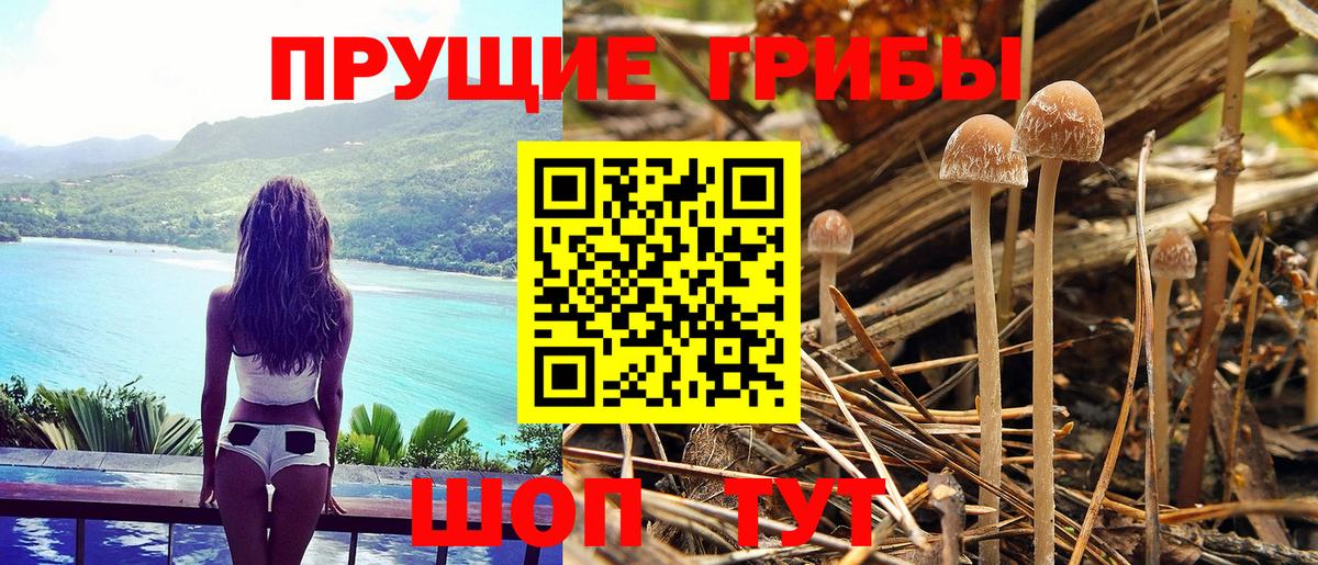 ГЕРОИН Сорочинск