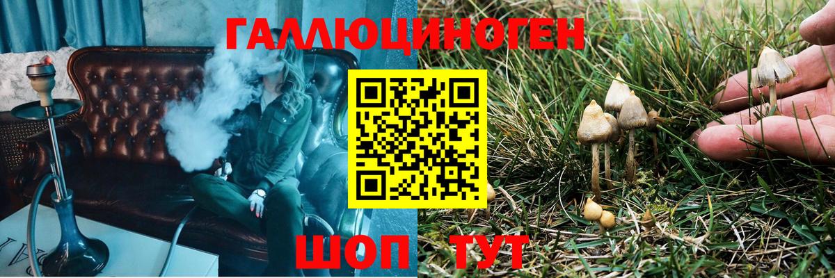Псилоцибиновые грибы Magic Shrooms Сорочинск