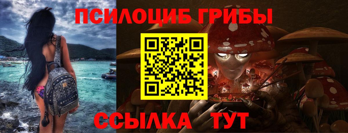 купить   Псилоцибиновые грибы прущие грибы  Вход с VPN  Сорочинск  Псилоцибиновые грибы мухоморы 